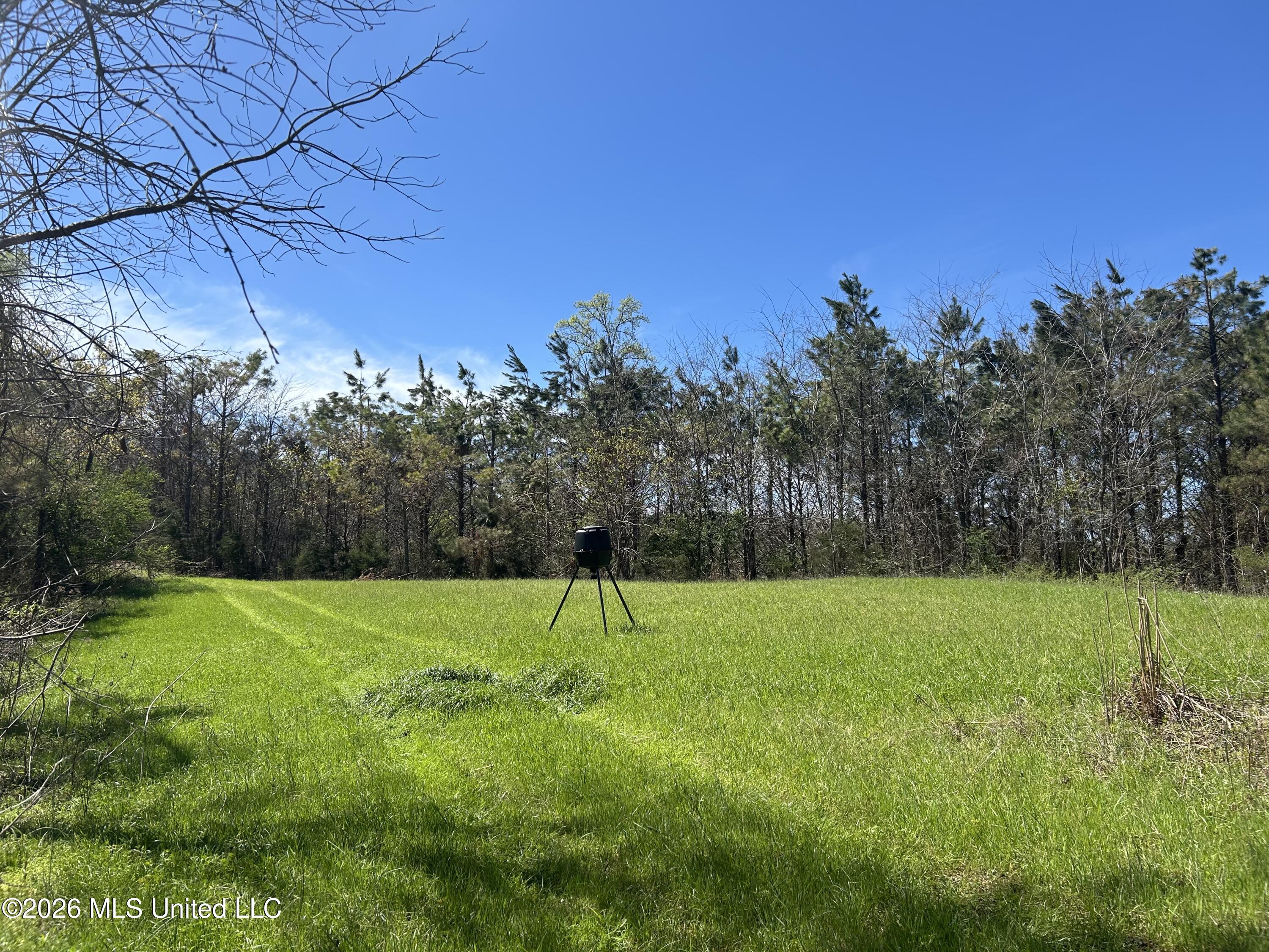 Mississippi 9 Property Photo 31