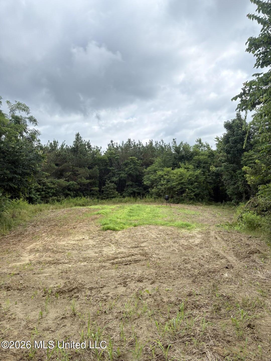 Mississippi 9 Property Photo 71
