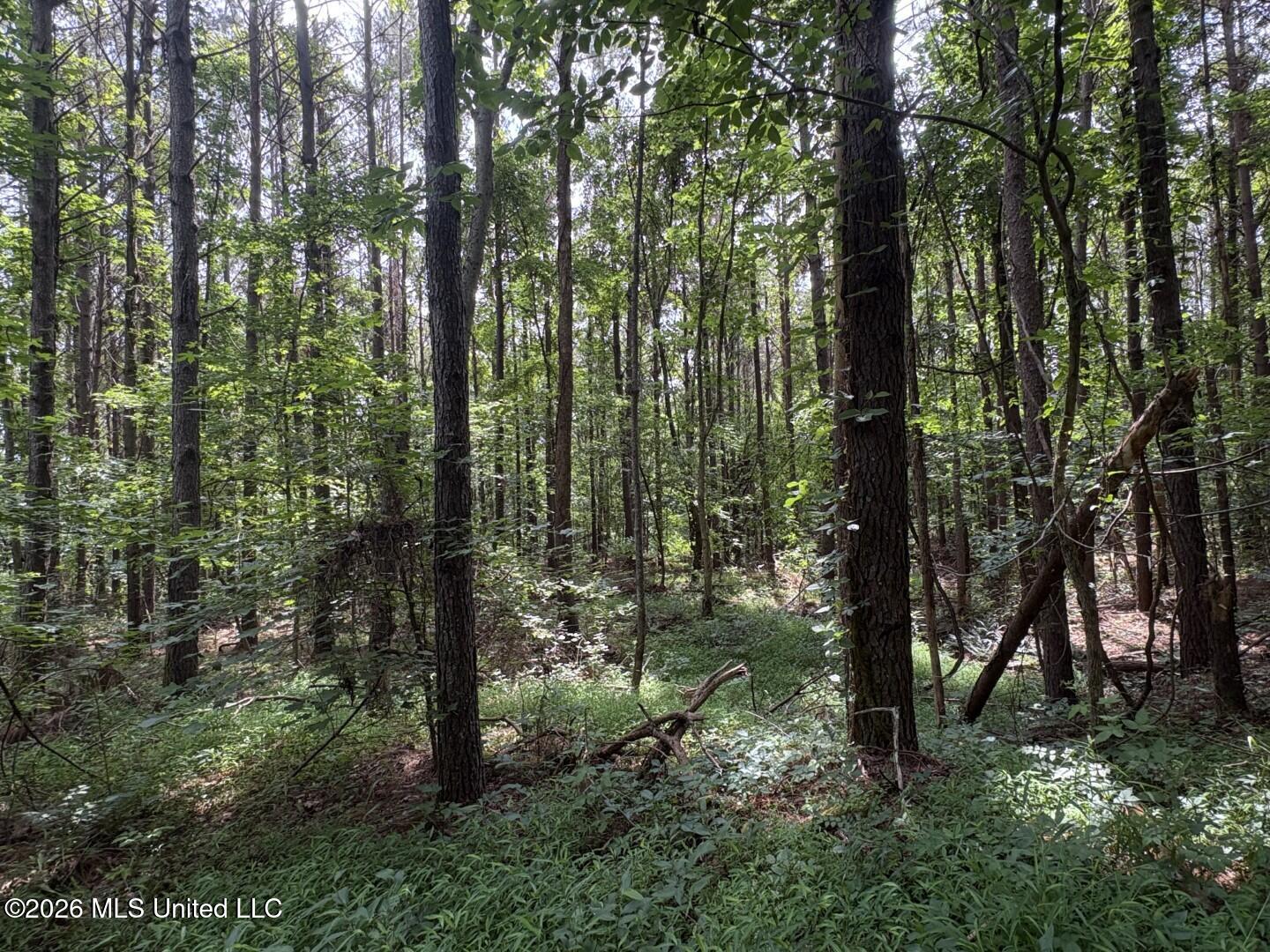 Mississippi 9 Property Photo 75