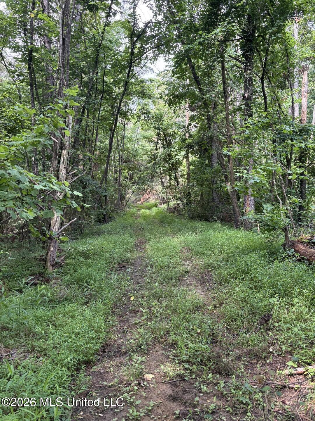 Mississippi 9 Property Photo 76