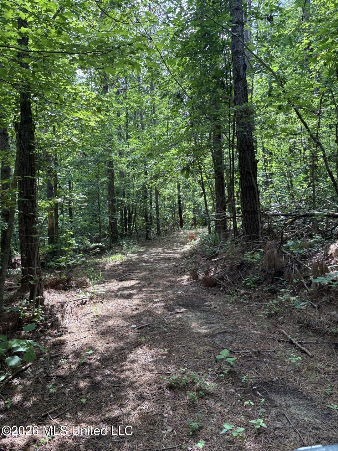 Mississippi 9 Property Photo 78