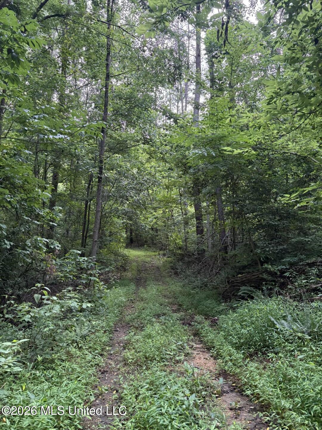 Mississippi 9 Property Photo 79