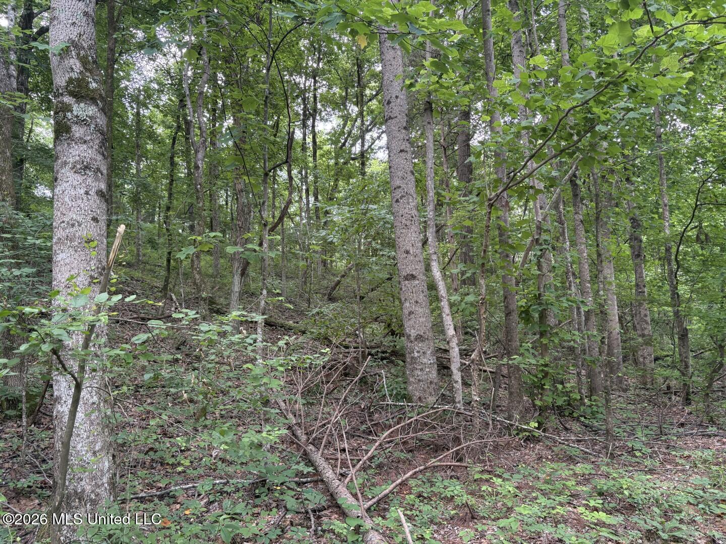 Mississippi 9 Property Photo 80
