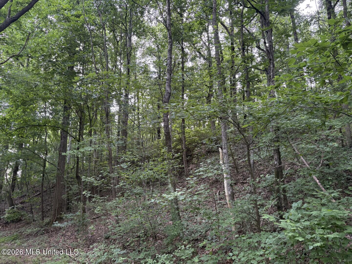 Mississippi 9 Property Photo 81