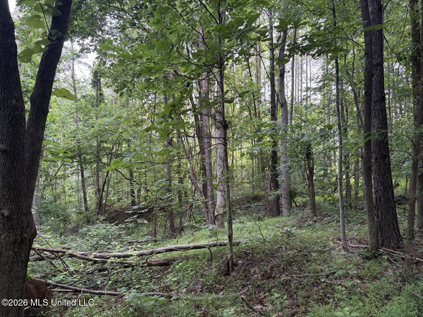 Mississippi 9 Property Photo 82