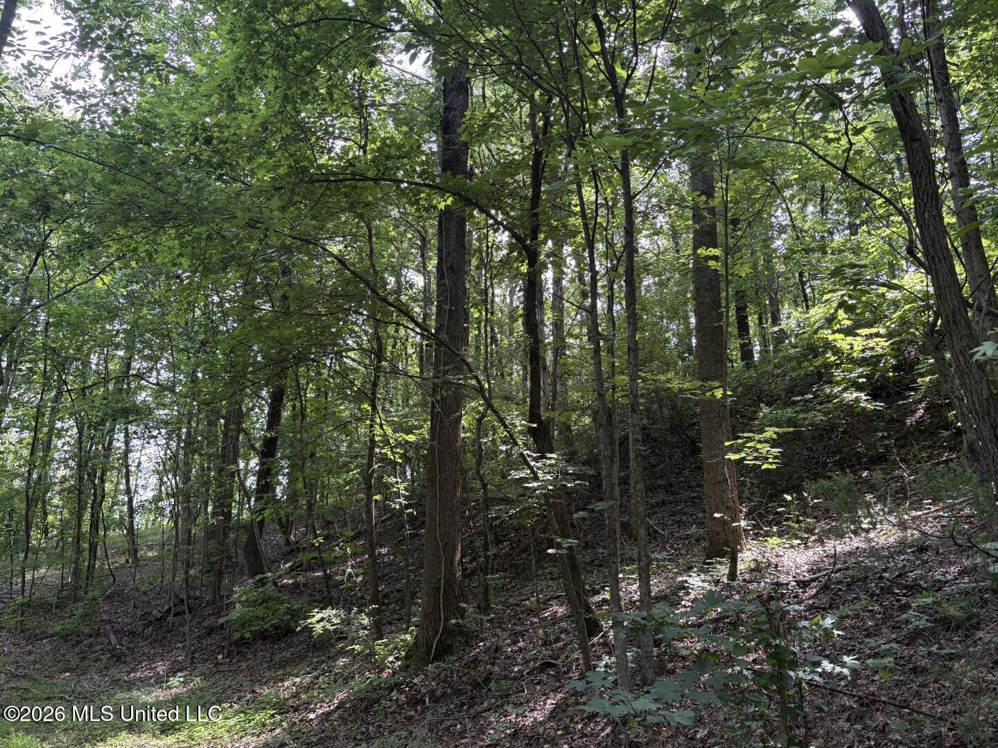 Mississippi 9 Property Photo 83