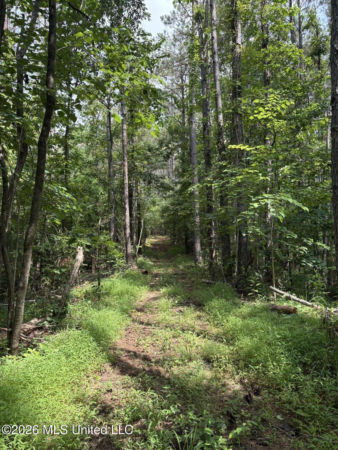 Mississippi 9 Property Photo 84