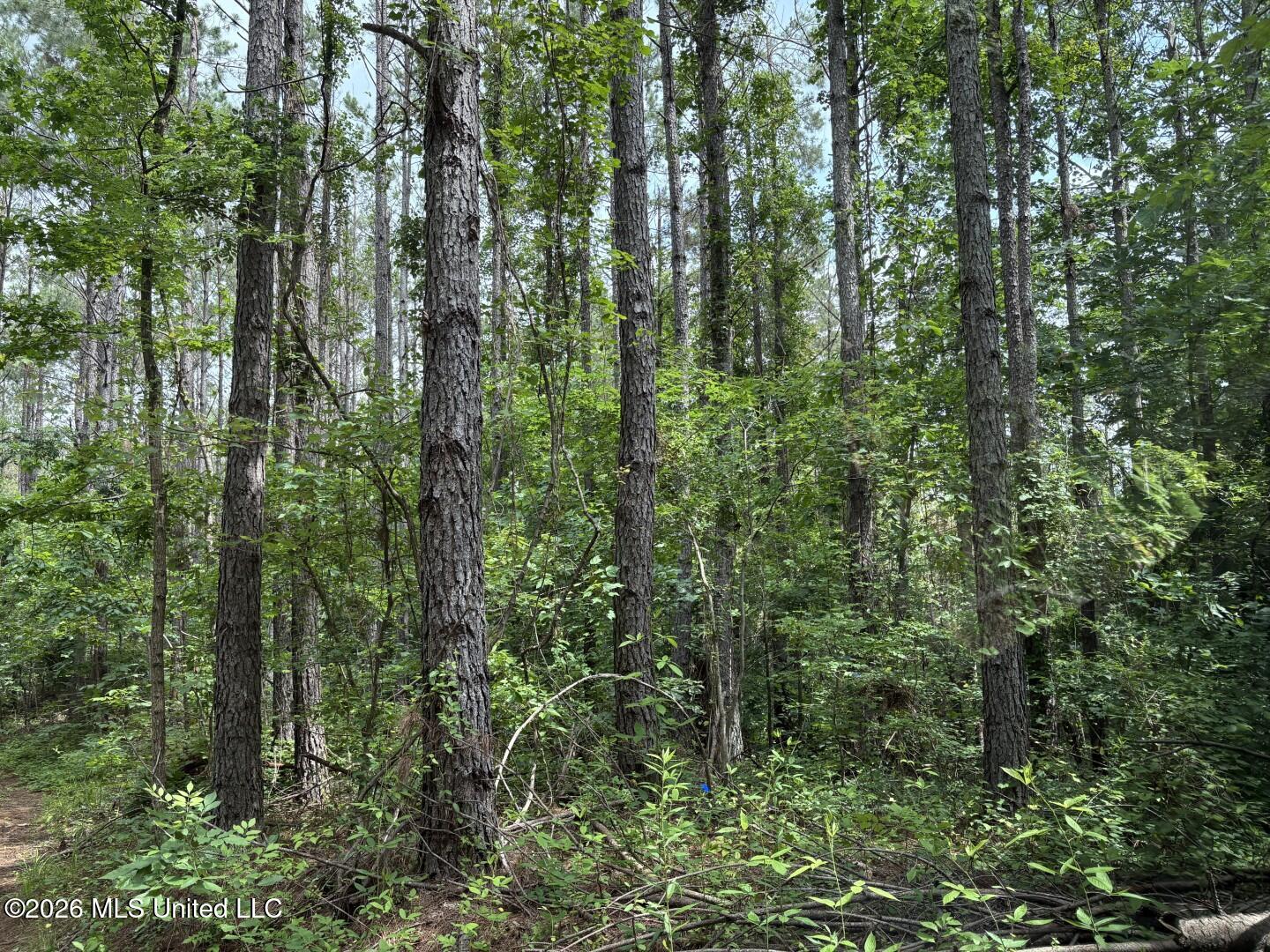 Mississippi 9 Property Photo 93