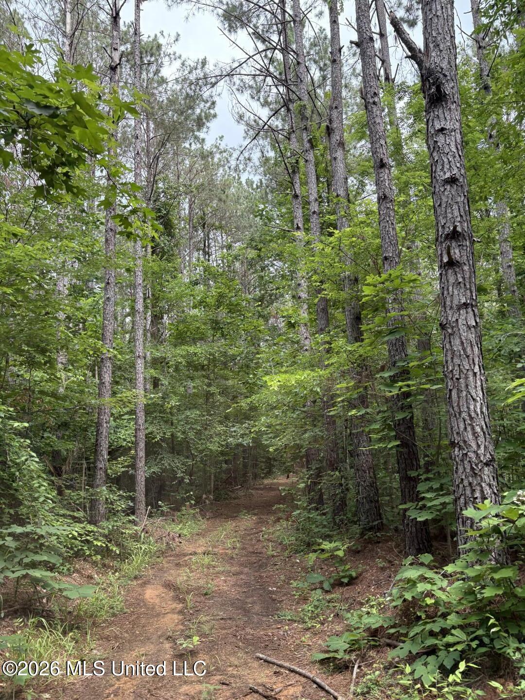 Mississippi 9 Property Photo 94