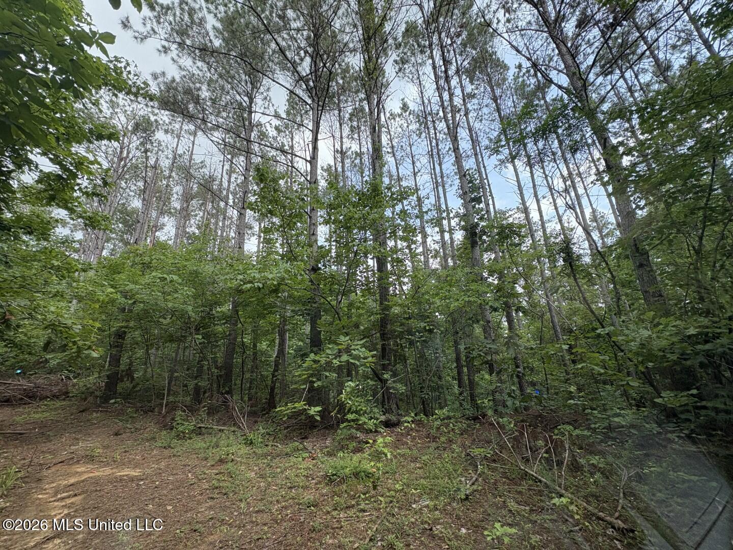 Mississippi 9 Property Photo 95