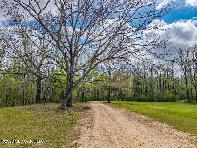 1178 Travis Road Property Photo 83
