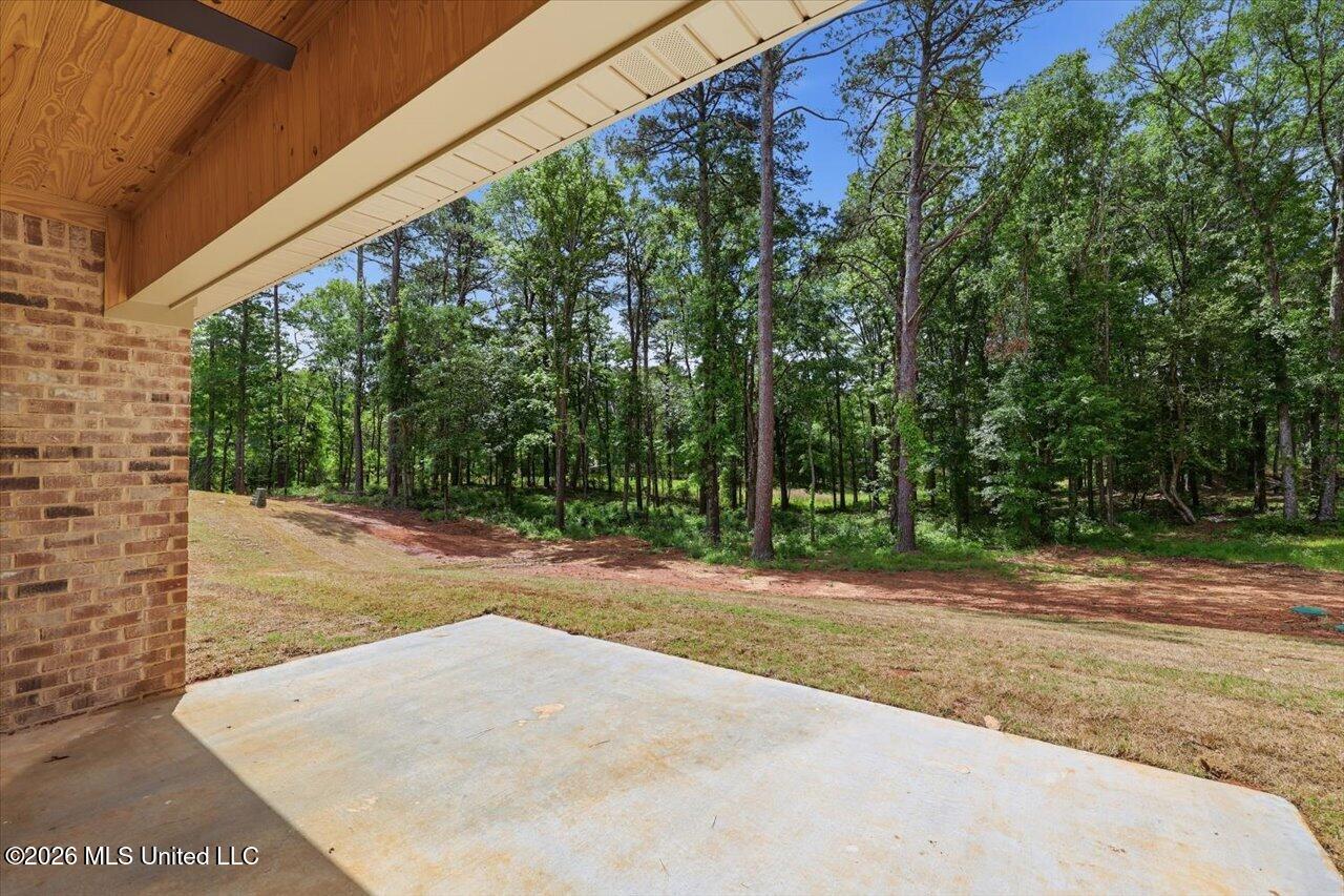 219 Walter Jones Road Property Photo 34