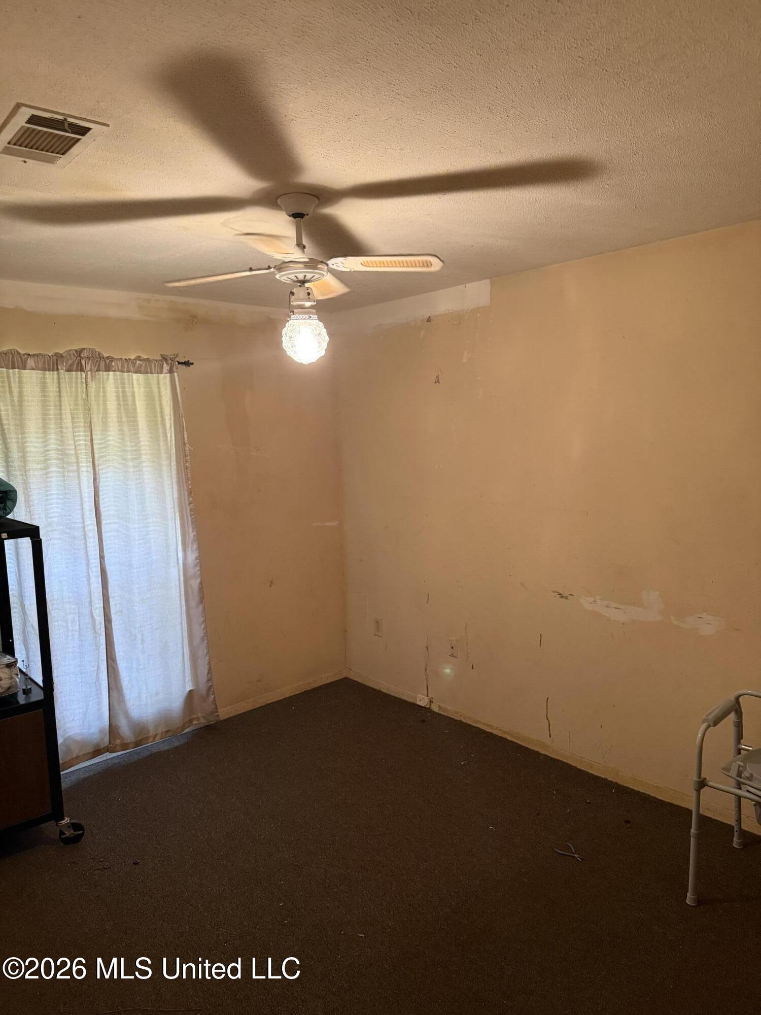 117 Delano Drive Property Photo 6