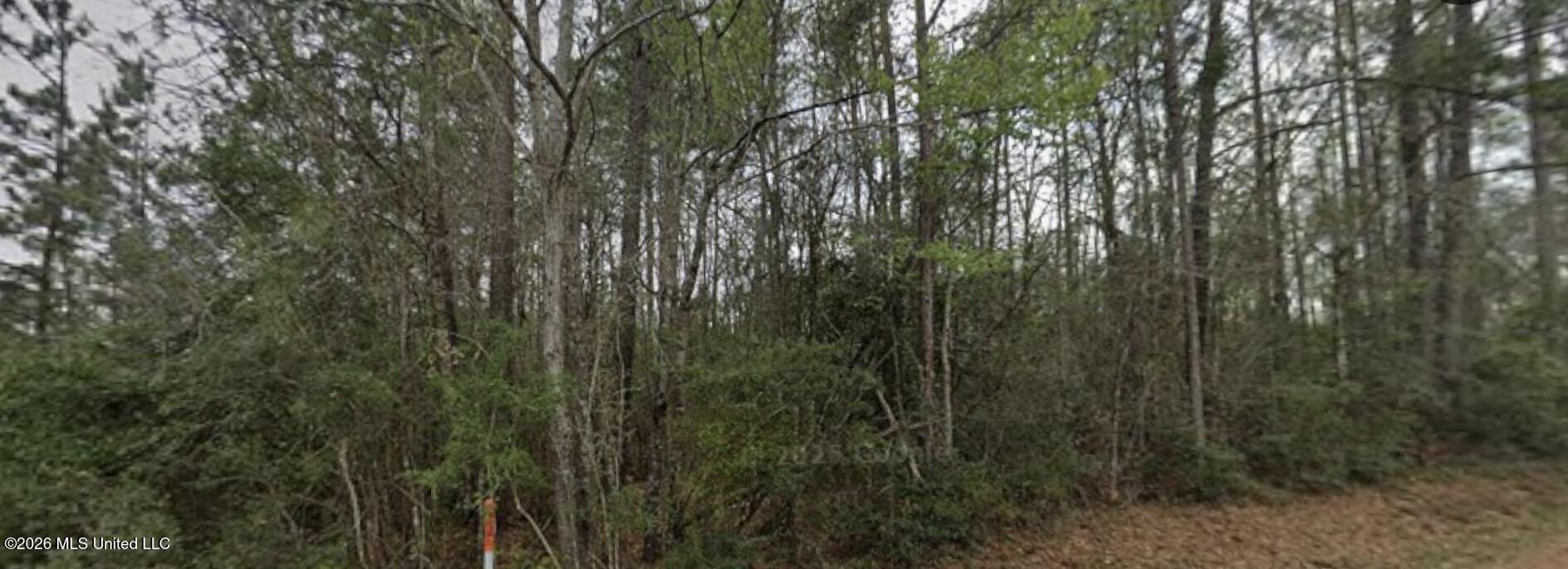 Mixon Lake Road Property Photo 3