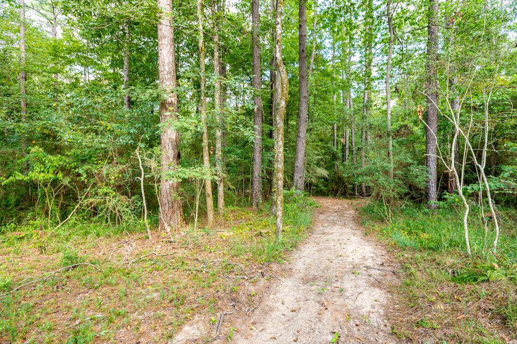 4032 Highway 48 Highway Property Photo 37