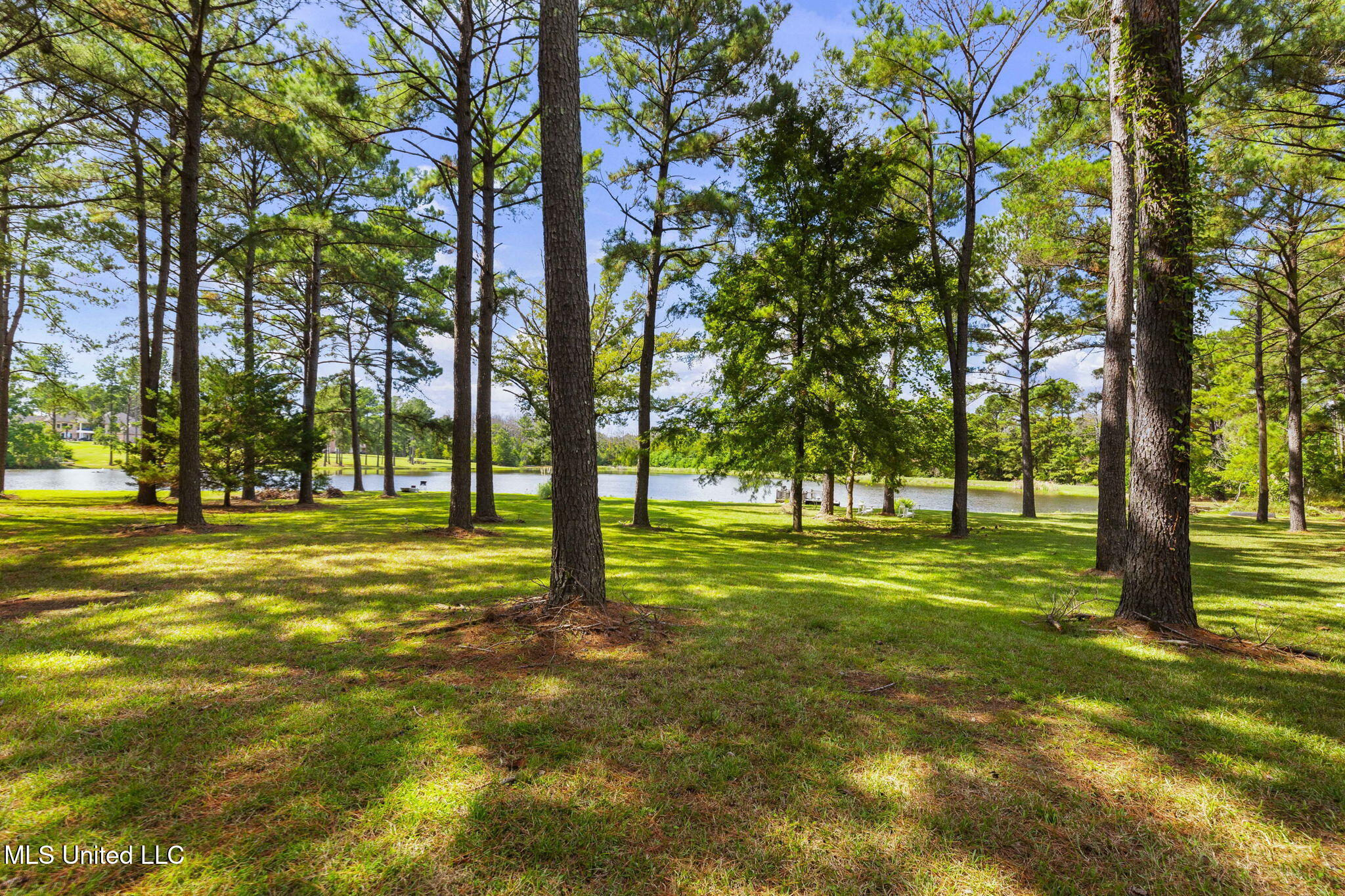 131 Lakeshire Parkway Property Photo 3