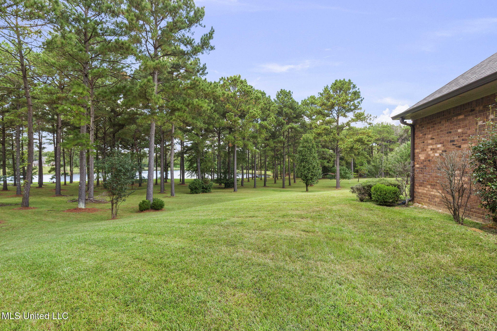 131 Lakeshire Parkway Property Photo 104