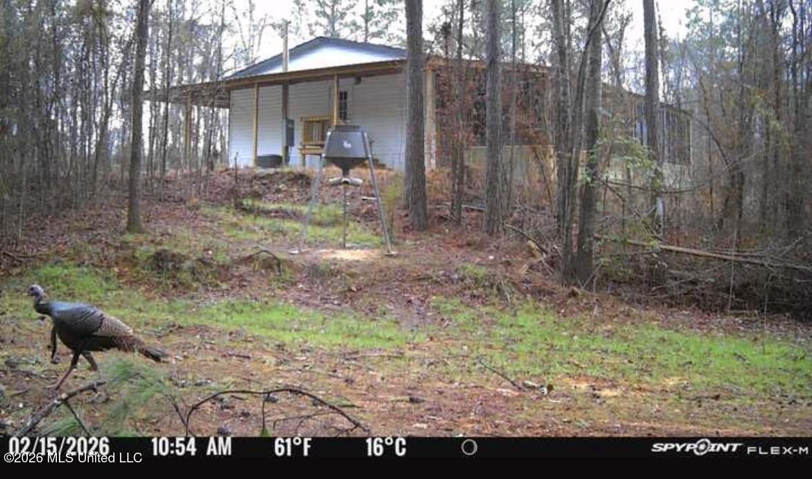 1711 U.s. 82 Property Photo 5