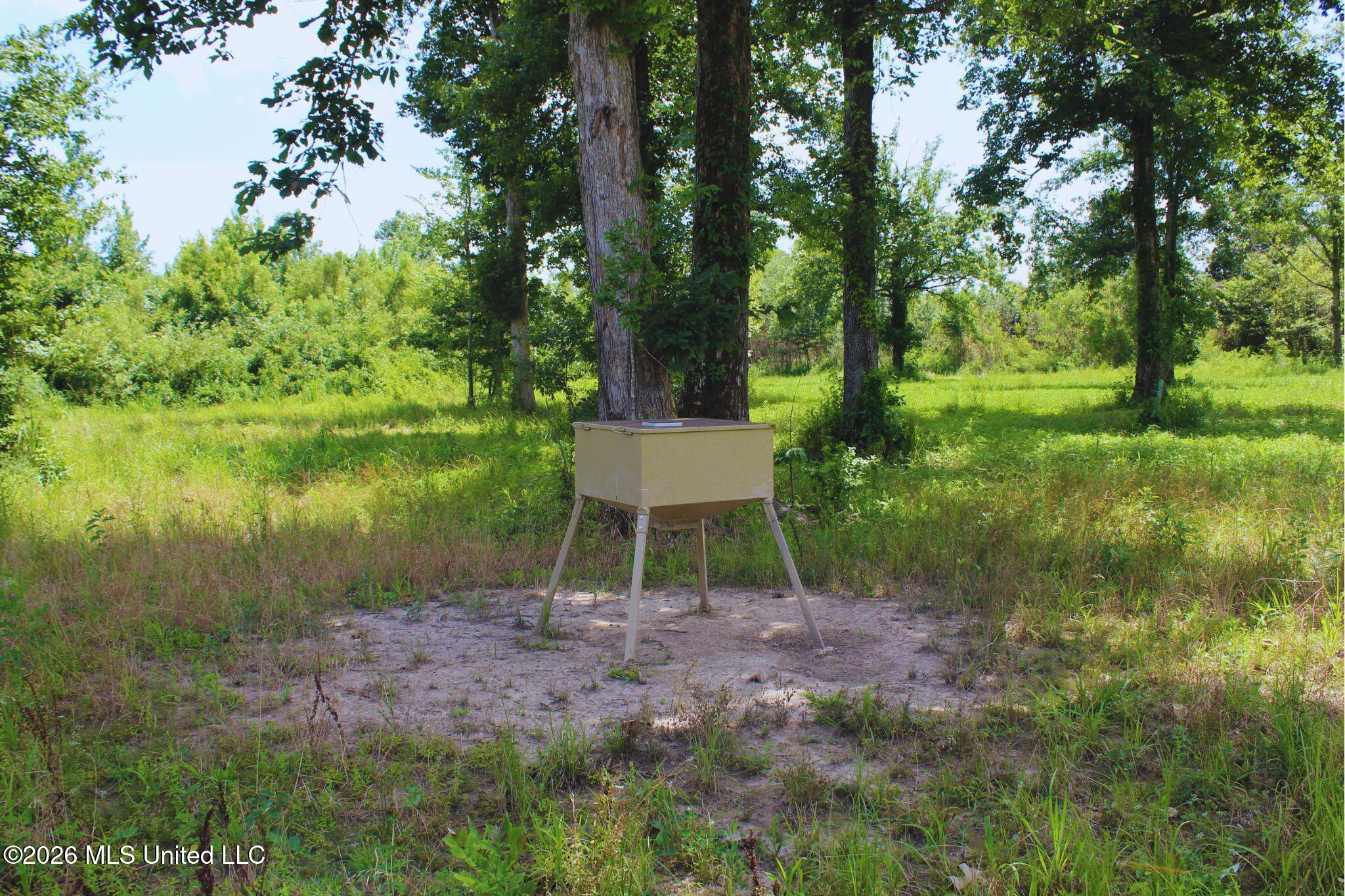 1711 U.s. 82 Property Photo 33