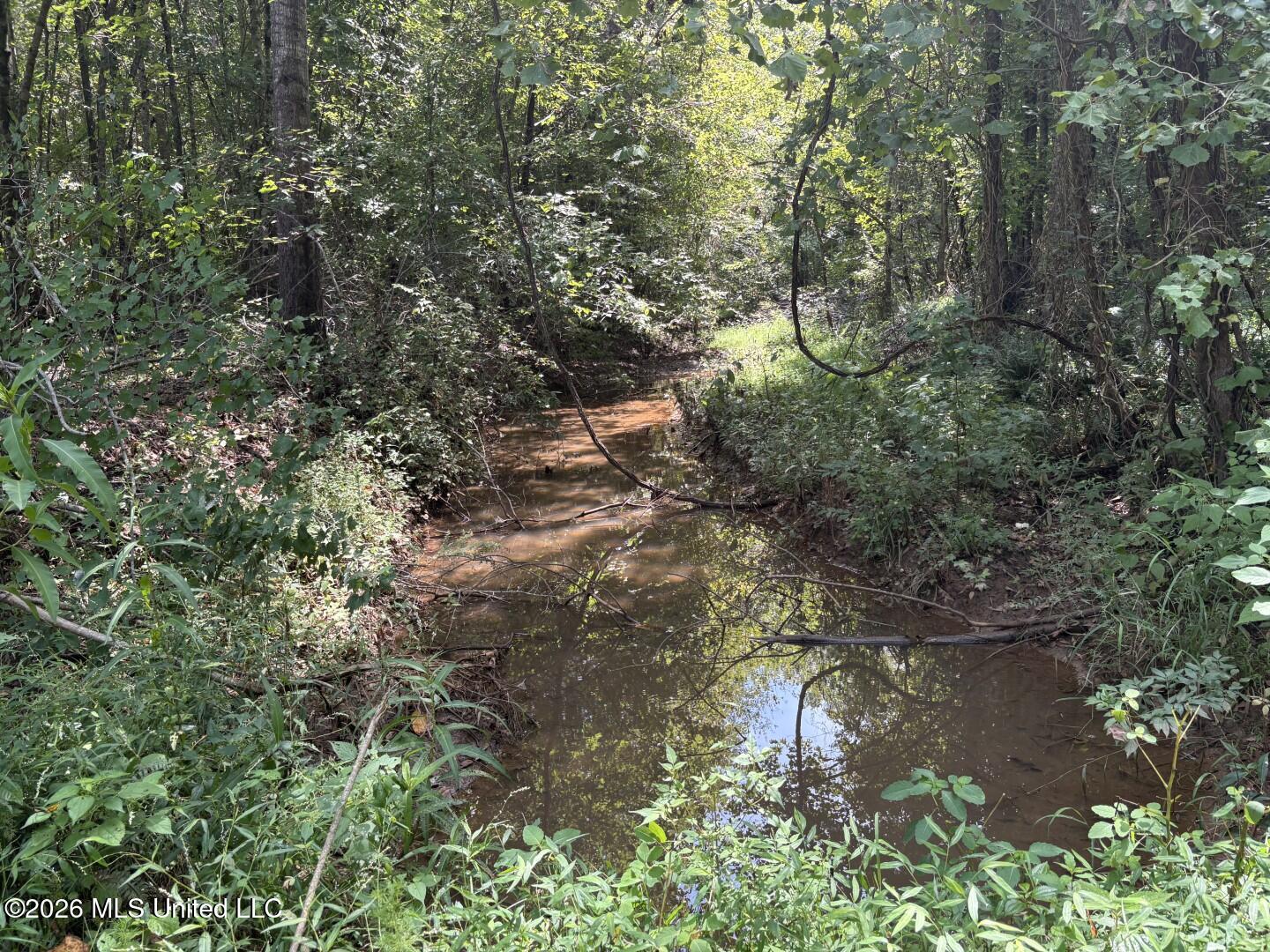 Mississippi 41 Property Photo 2