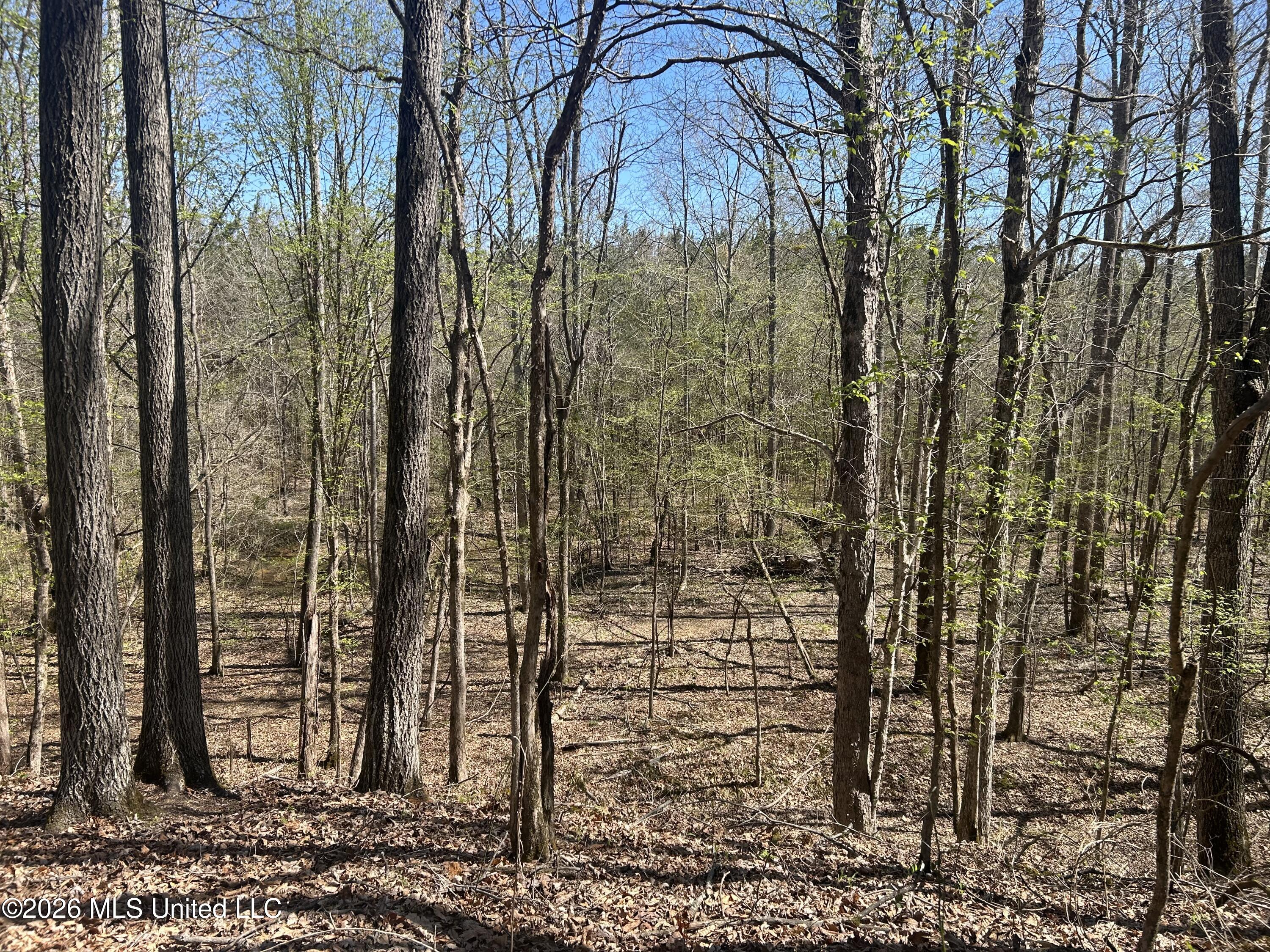 Mississippi 41 Property Photo 10