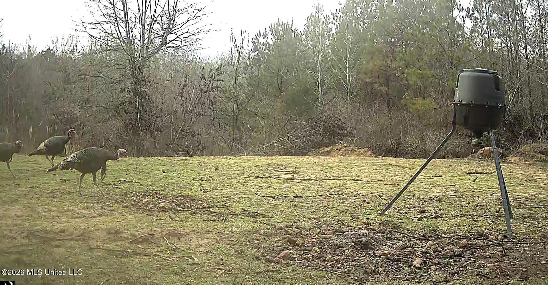 Mississippi 41 Property Photo 14