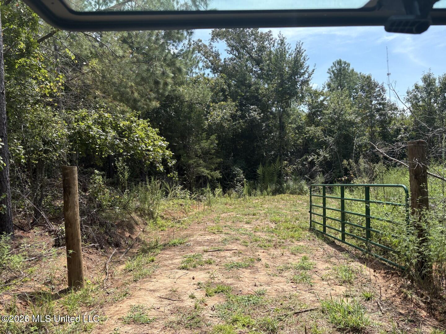 Mississippi 41 Property Photo 15