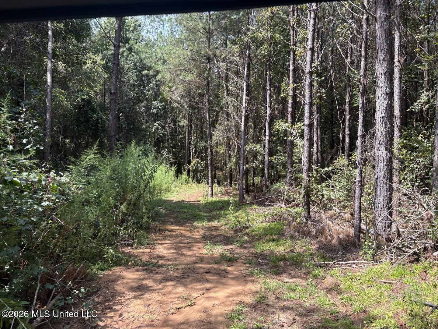 Mississippi 41 Property Photo 16