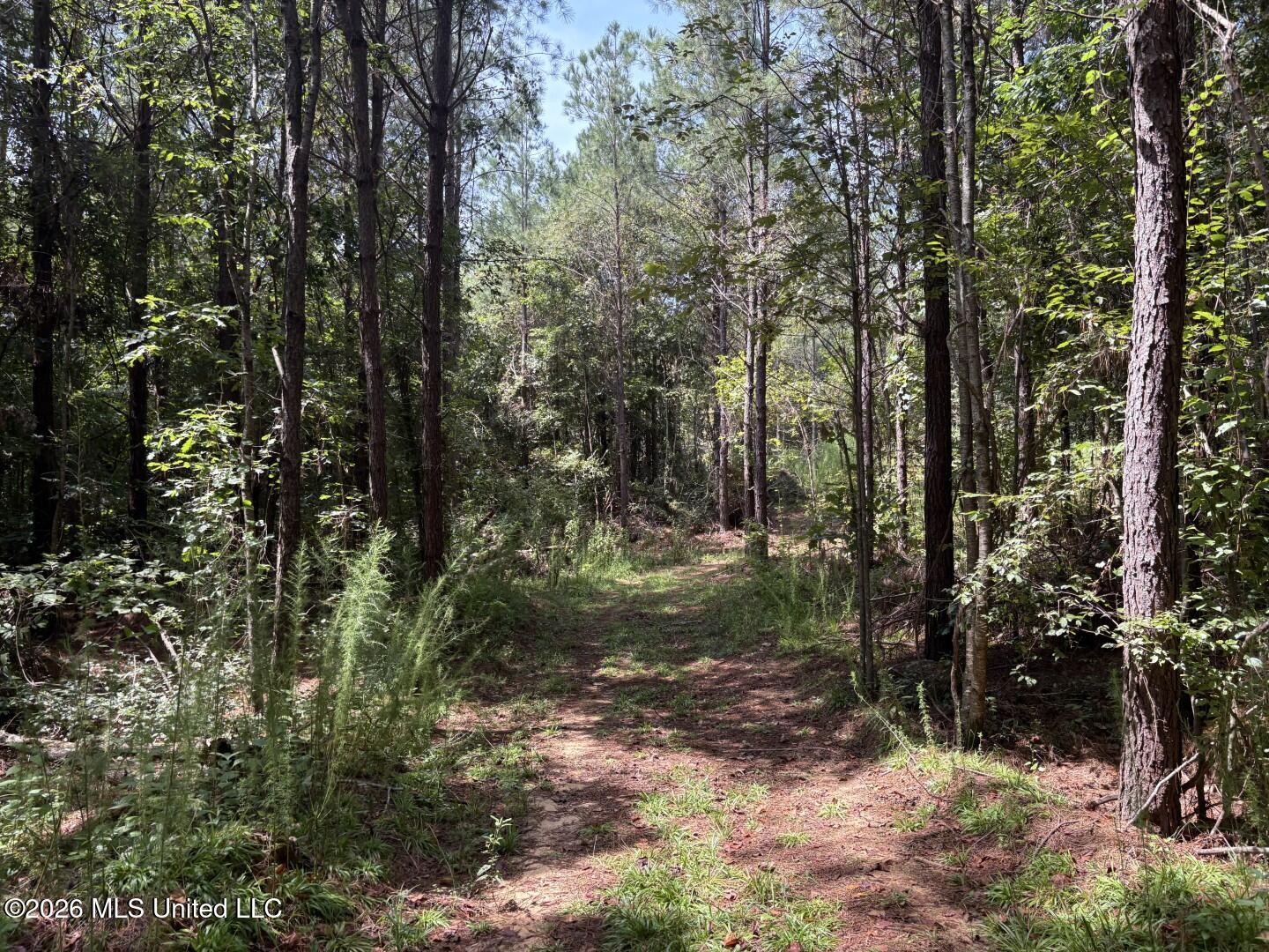 Mississippi 41 Property Photo 17