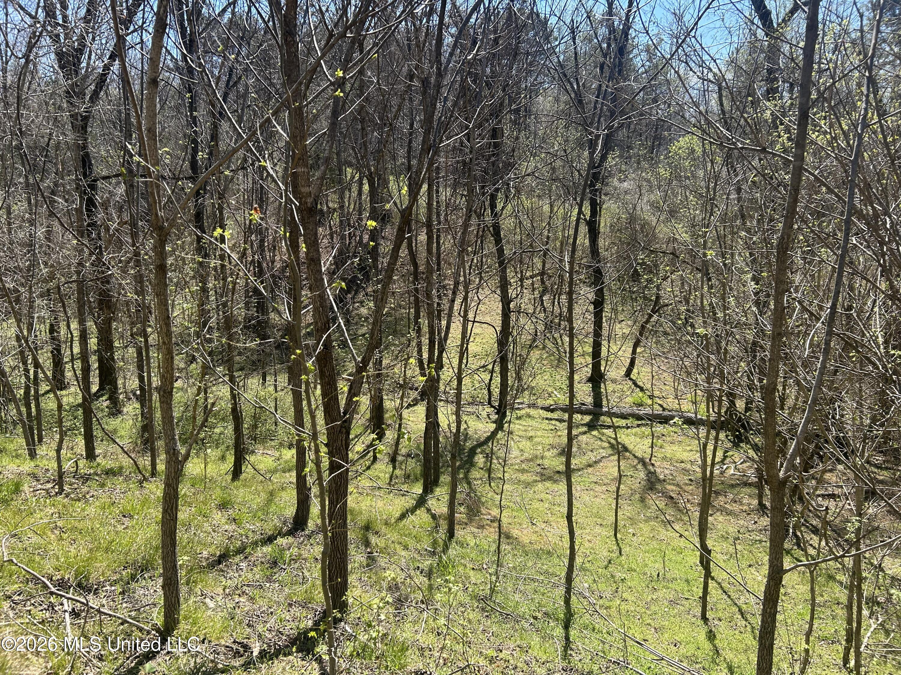 Mississippi 41 Property Photo 19