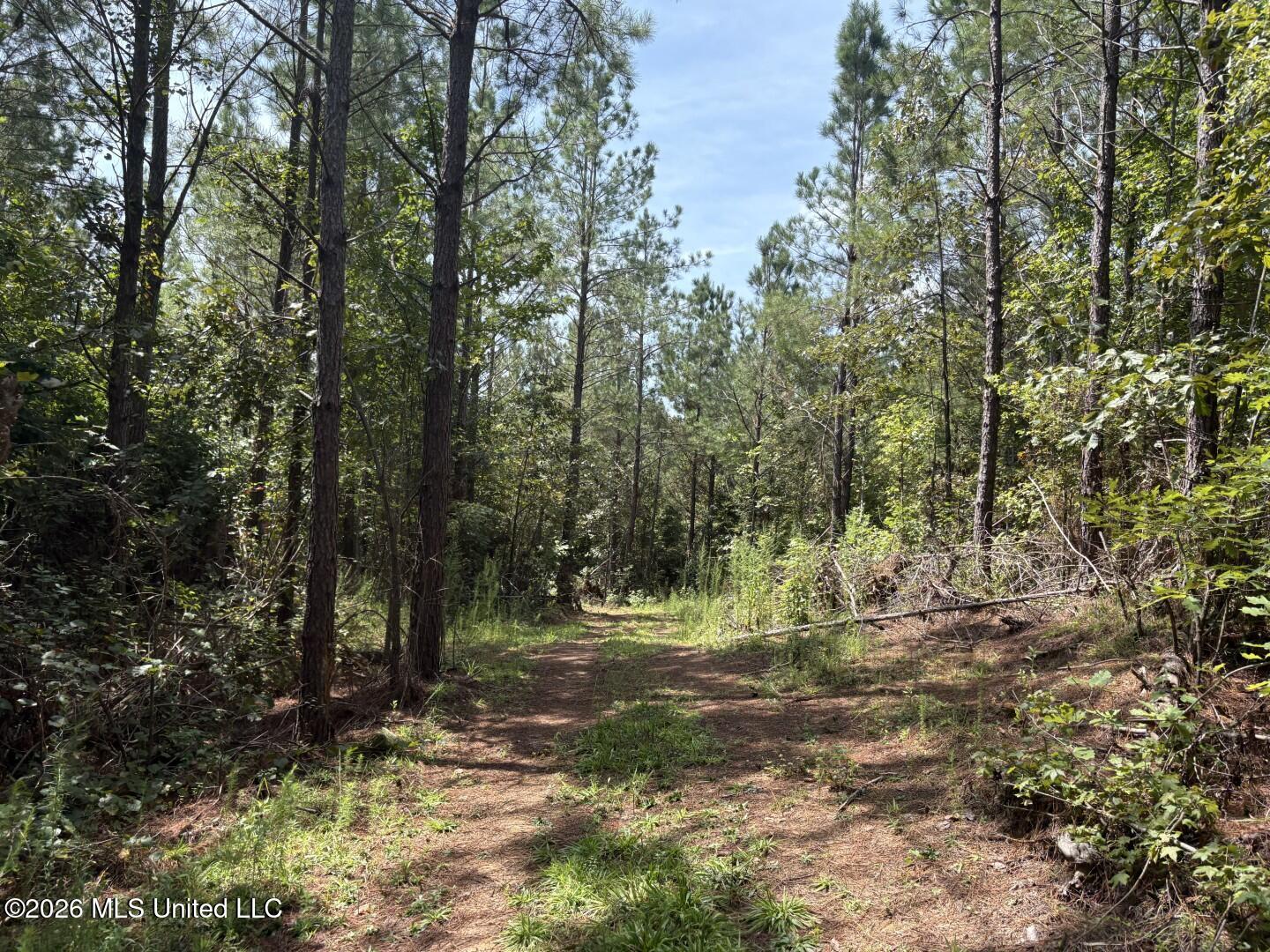 Mississippi 41 Property Photo 19