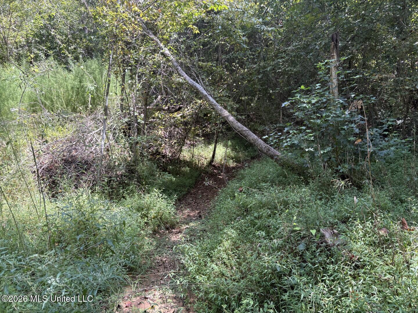 Mississippi 41 Property Photo 20