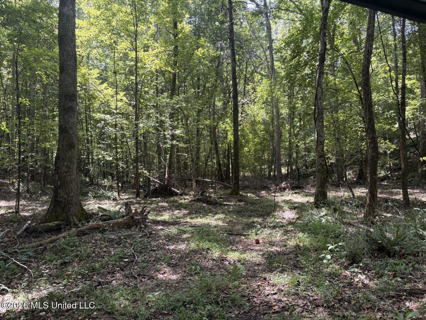 Mississippi 41 Property Photo 23