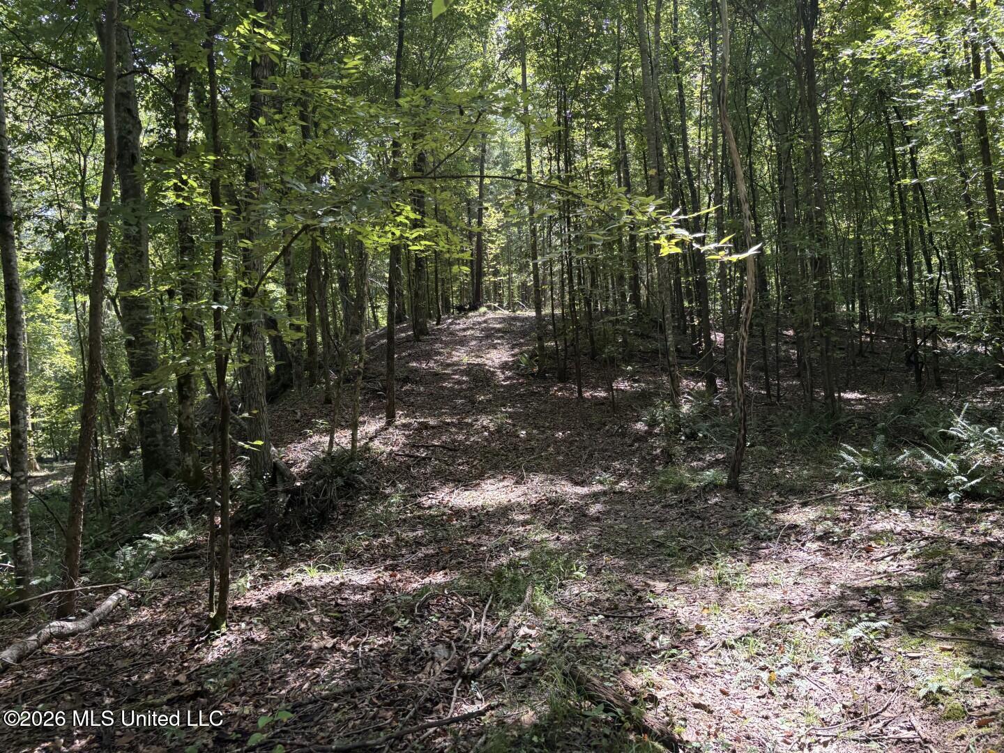 Mississippi 41 Property Photo 24
