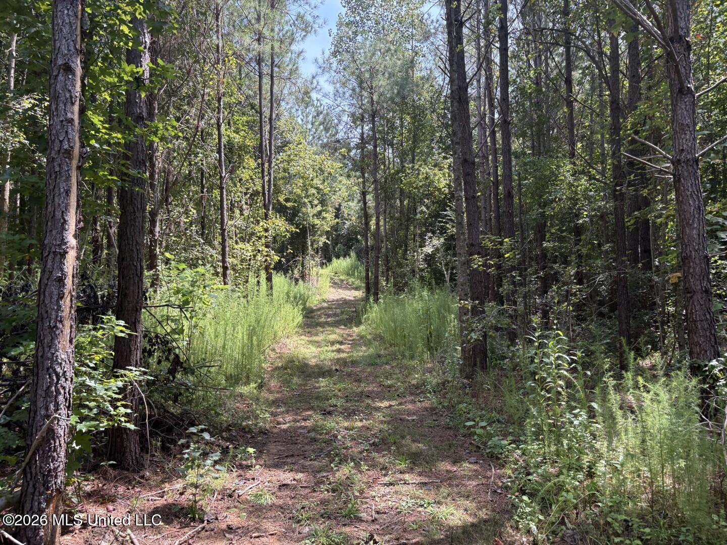 Mississippi 41 Property Photo 27