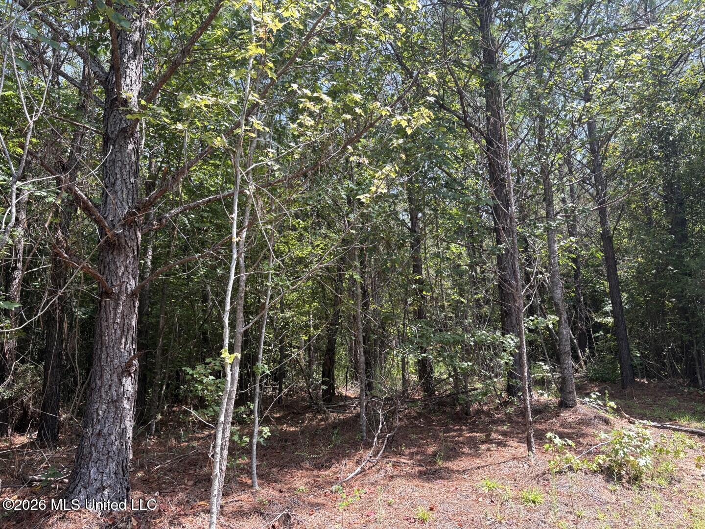 Mississippi 41 Property Photo 28