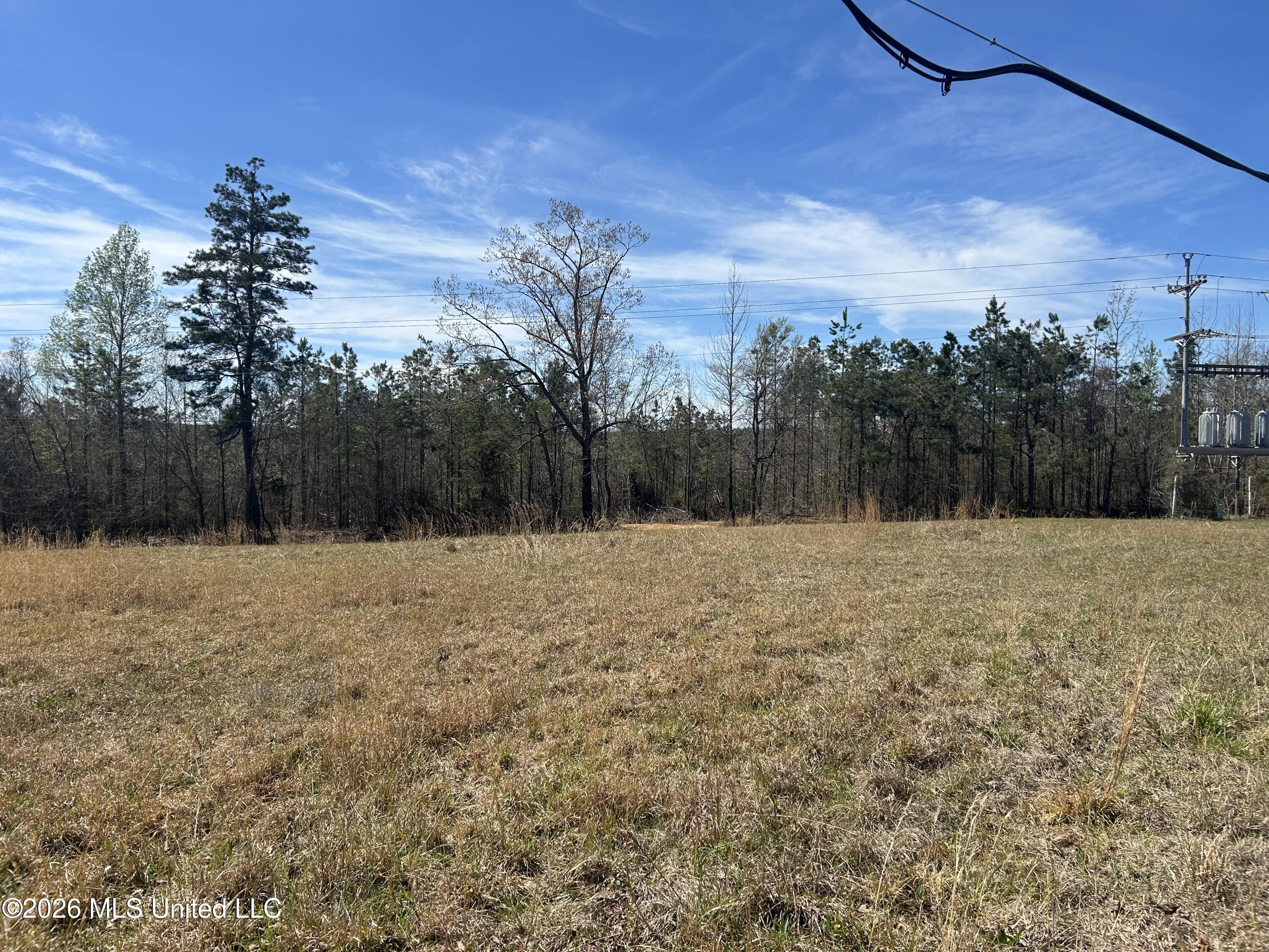 Mississippi 41 Property Photo 29