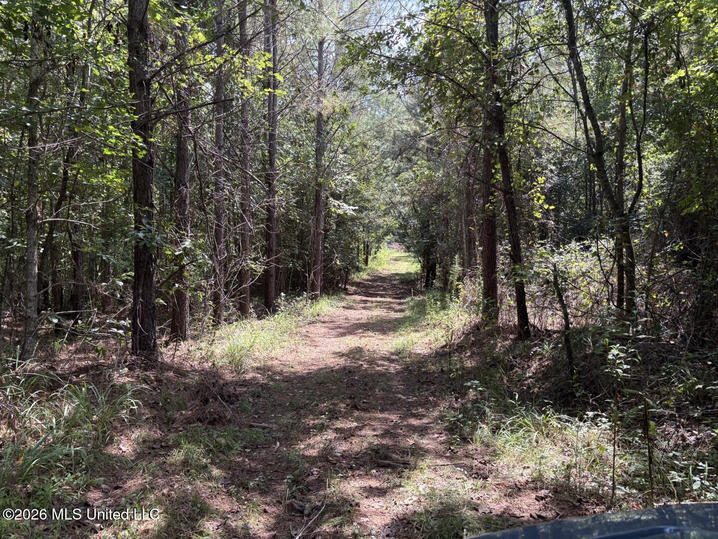 Mississippi 41 Property Photo 30
