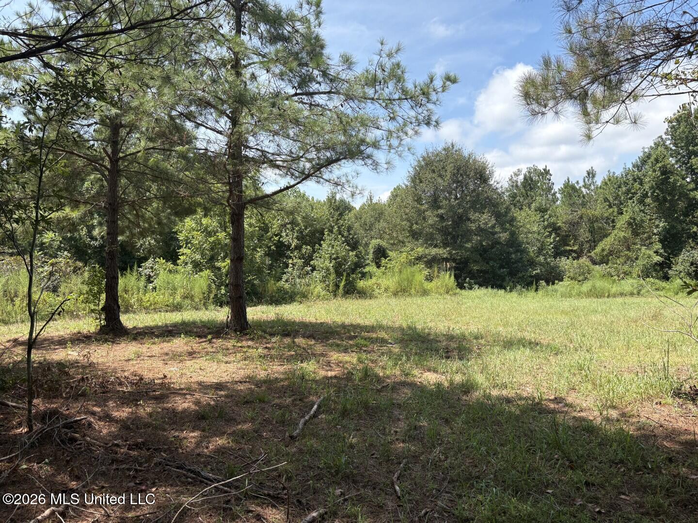 Mississippi 41 Property Photo 34