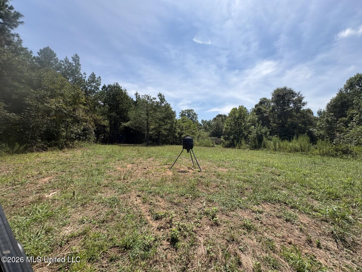 Mississippi 41 Property Photo 35