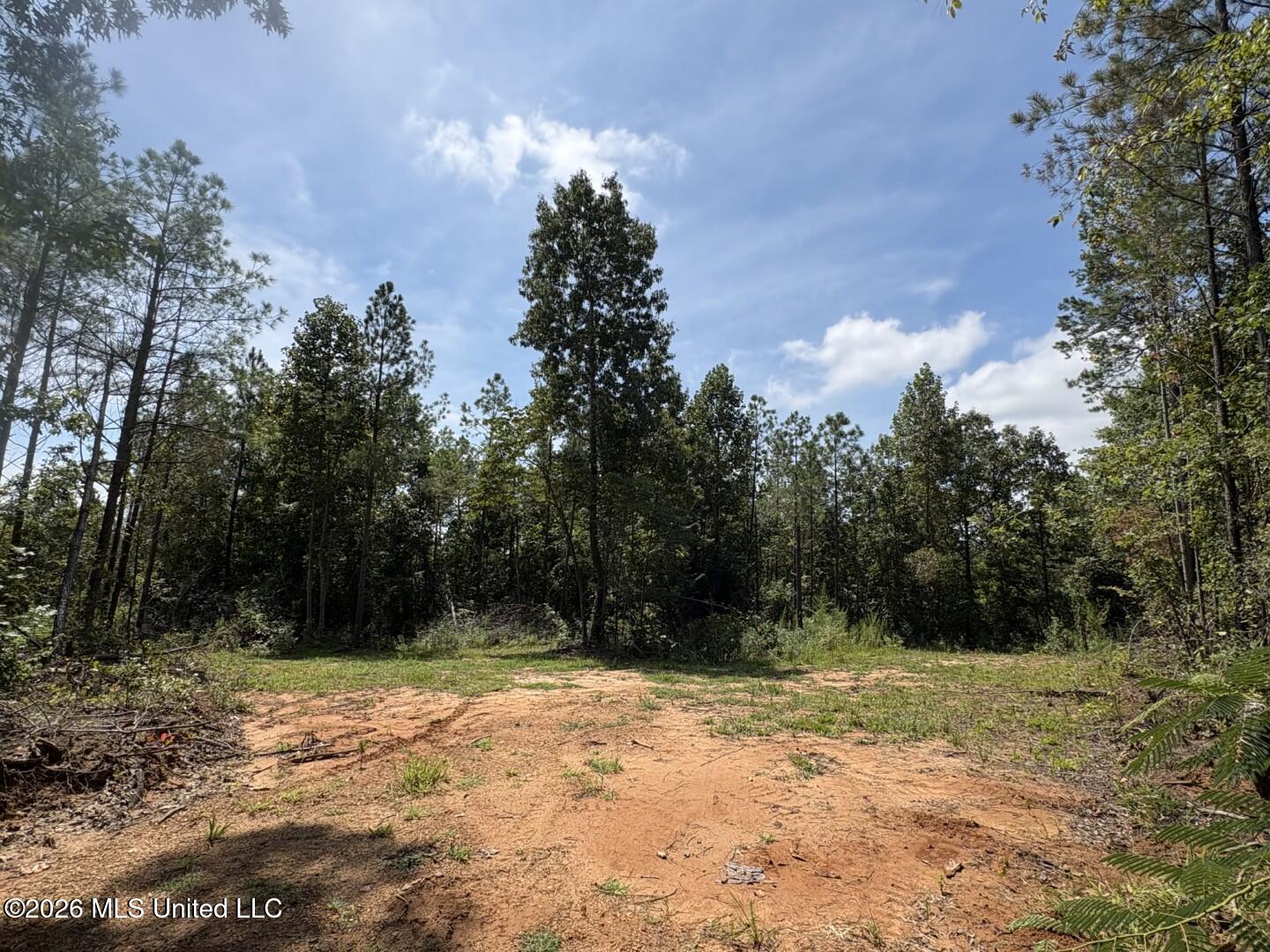 Mississippi 41 Property Photo 40