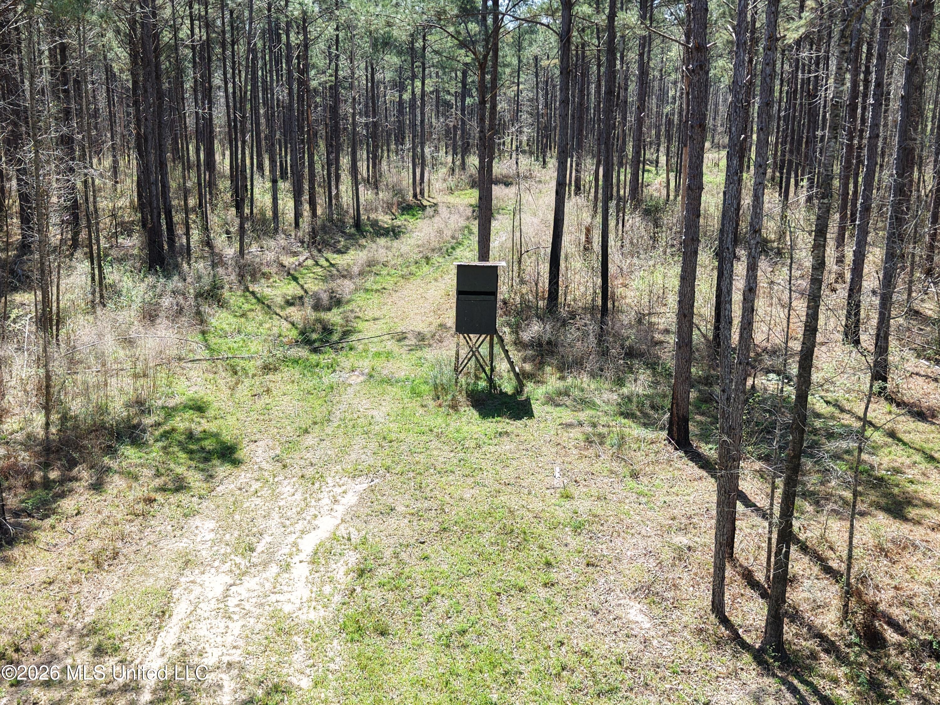 Oldenburg Road Property Photo 3