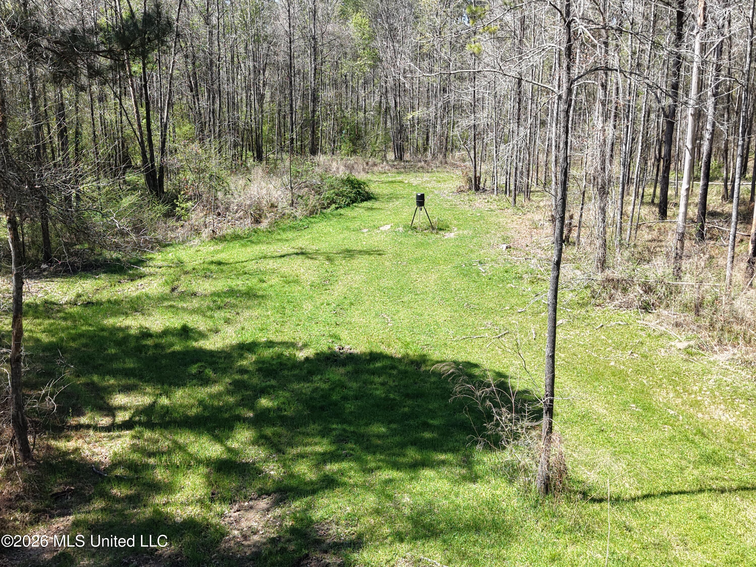 Oldenburg Road Property Photo 4