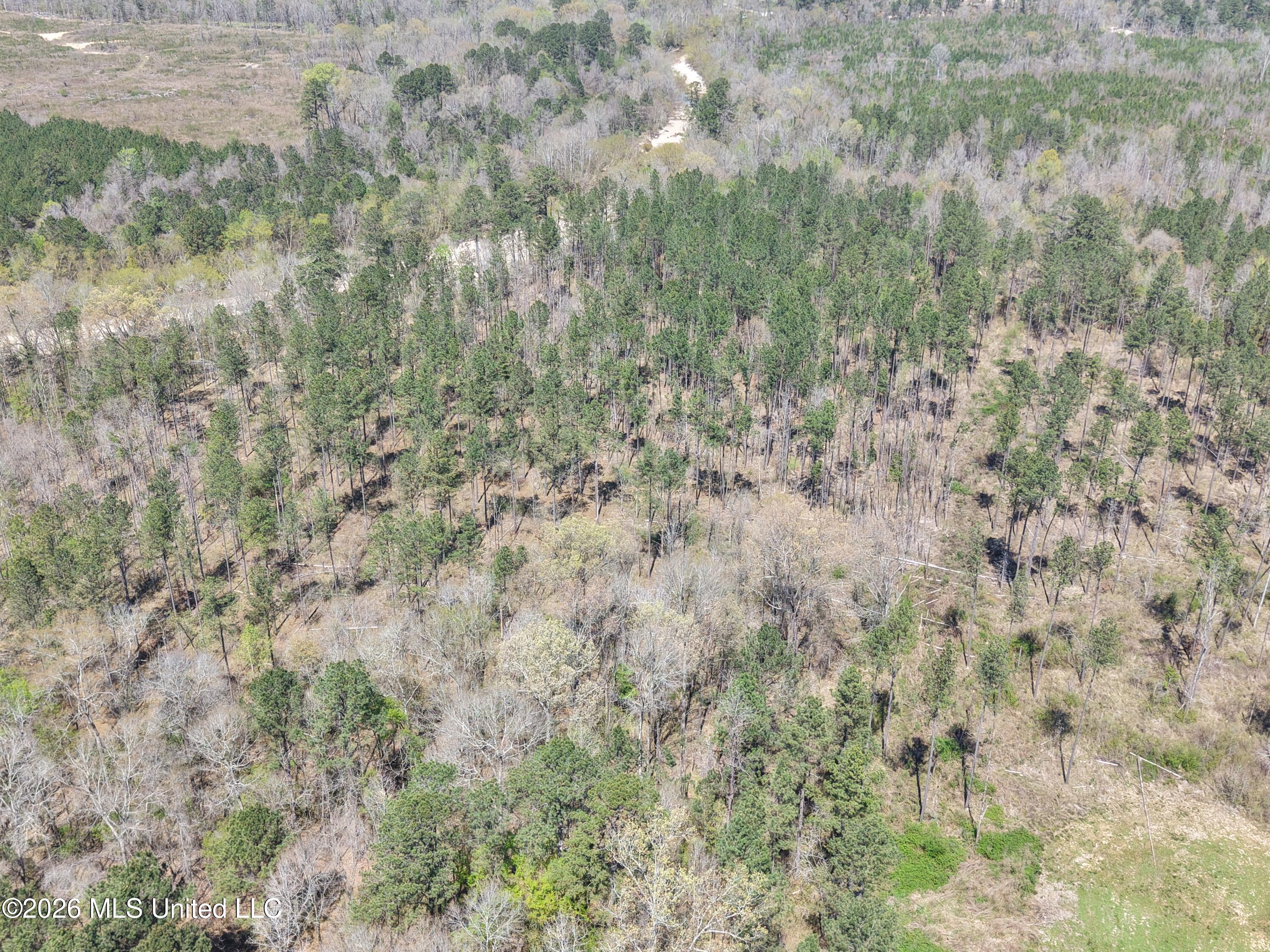 Oldenburg Road Property Photo 17