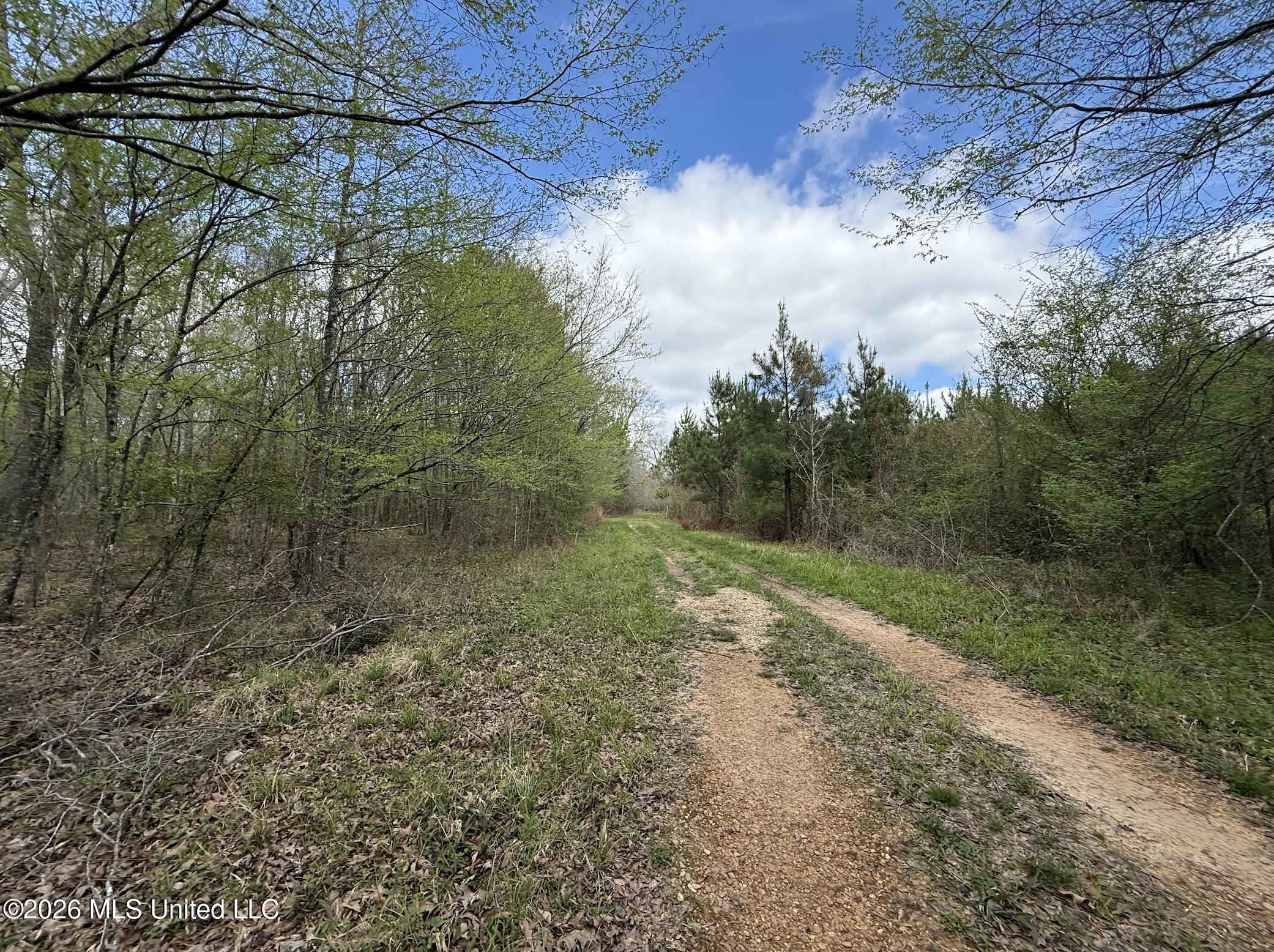 Oldenburg Road Property Photo 26