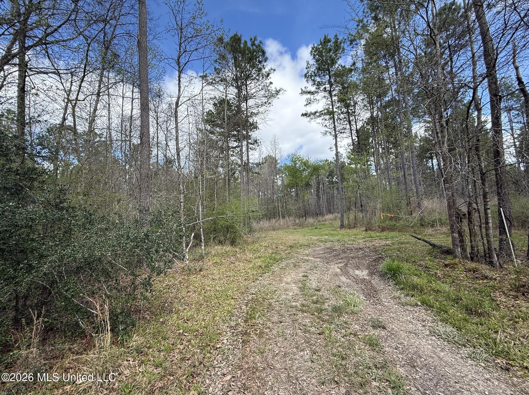 Oldenburg Road Property Photo 27