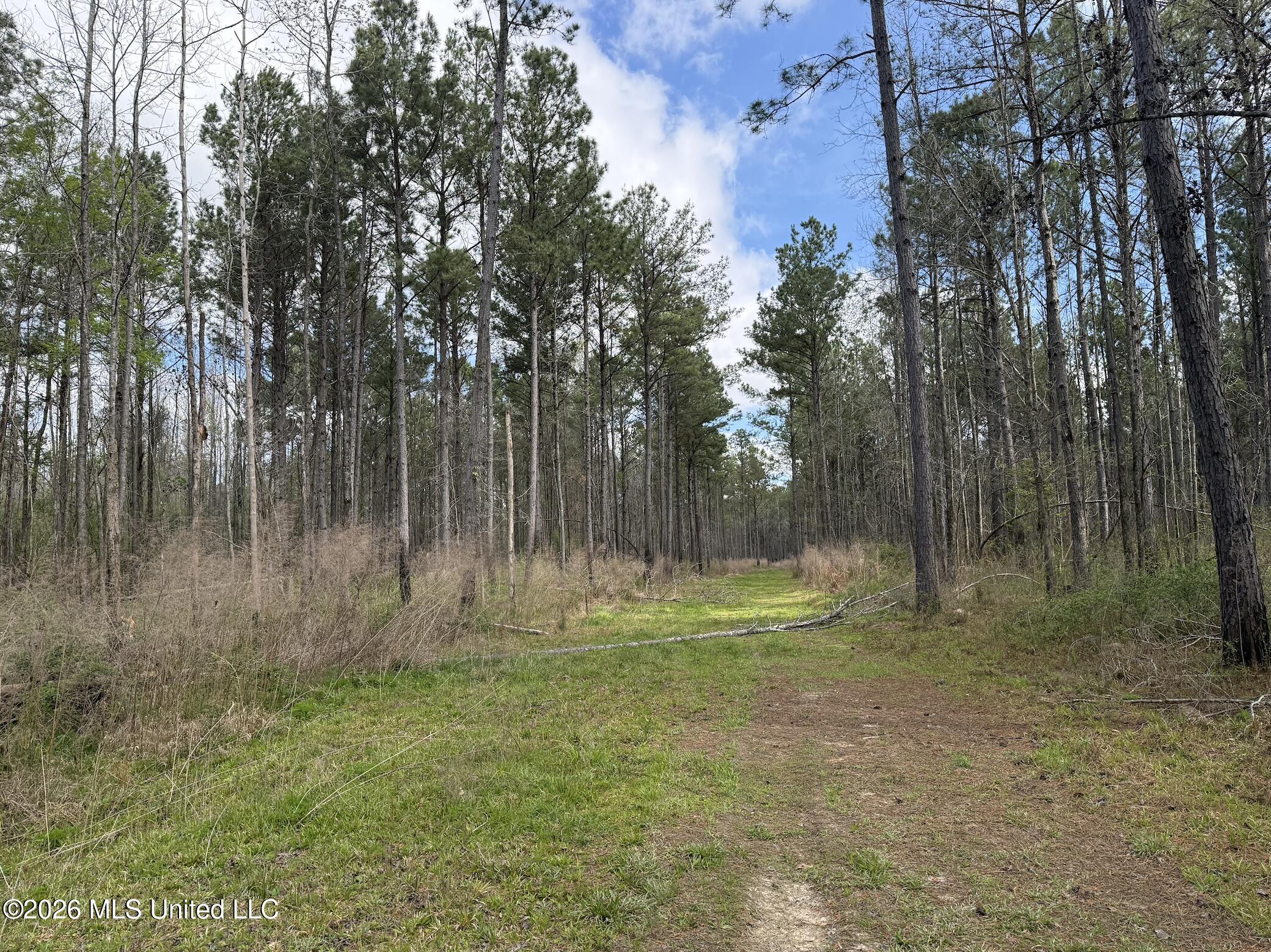 Oldenburg Road Property Photo 28