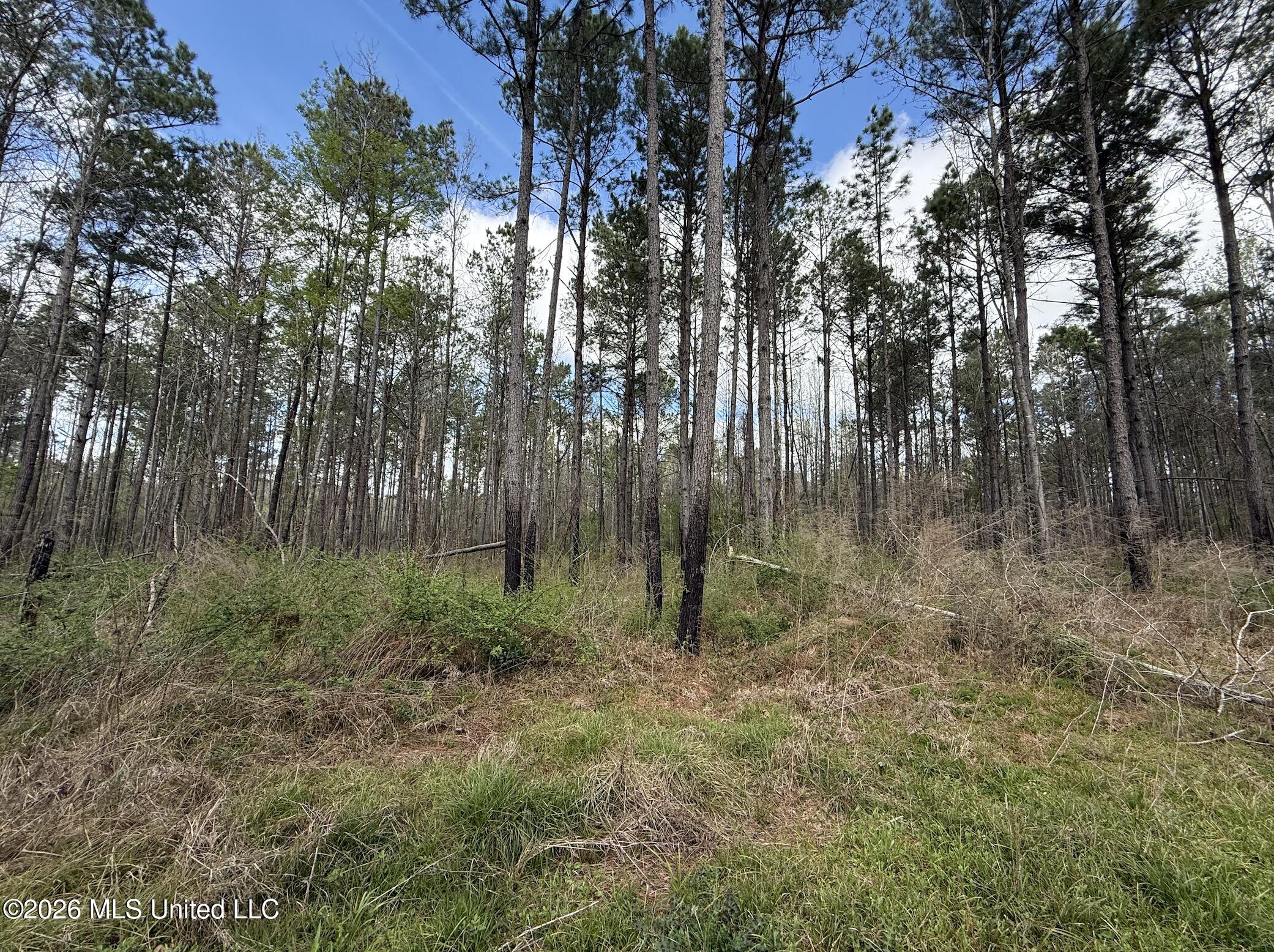 Oldenburg Road Property Photo 29