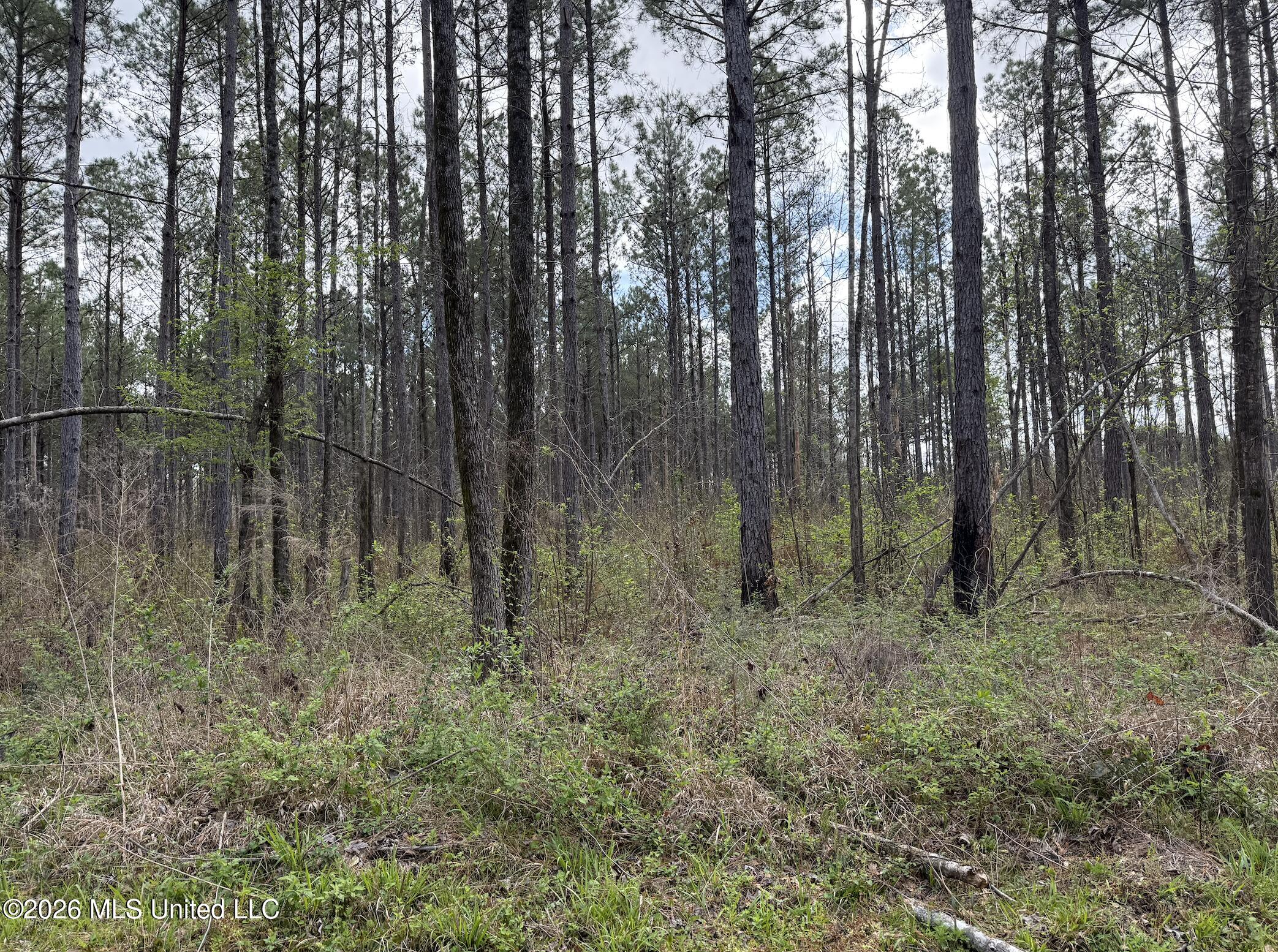 Oldenburg Road Property Photo 30