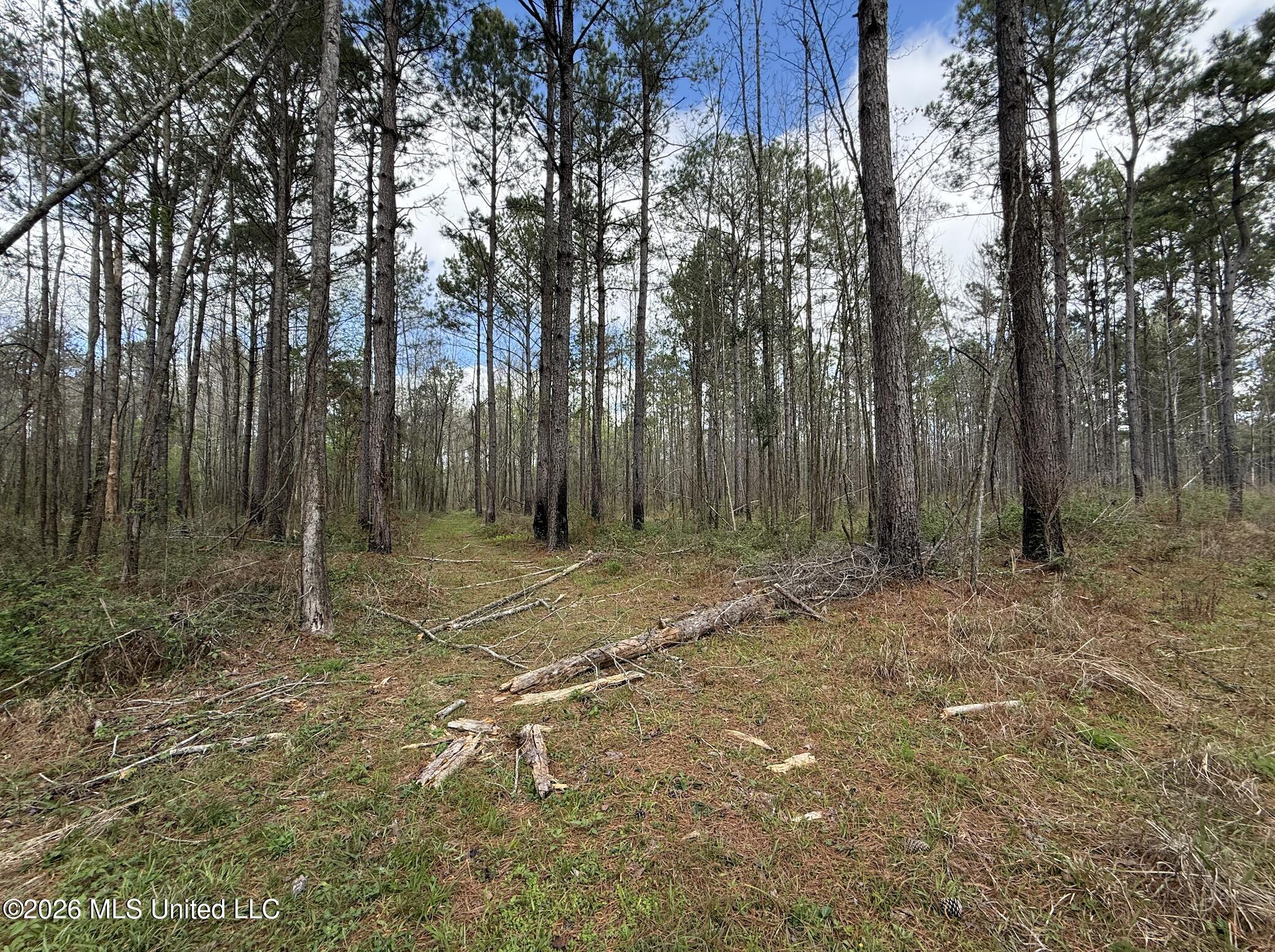 Oldenburg Road Property Photo 31